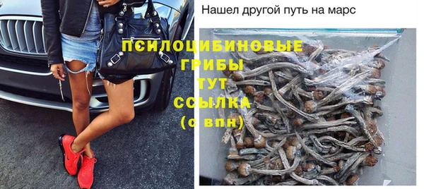 apvp Новодвинск