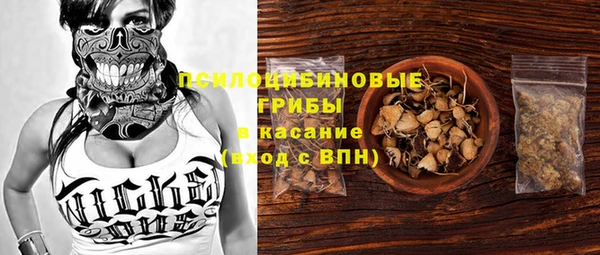 apvp Новодвинск