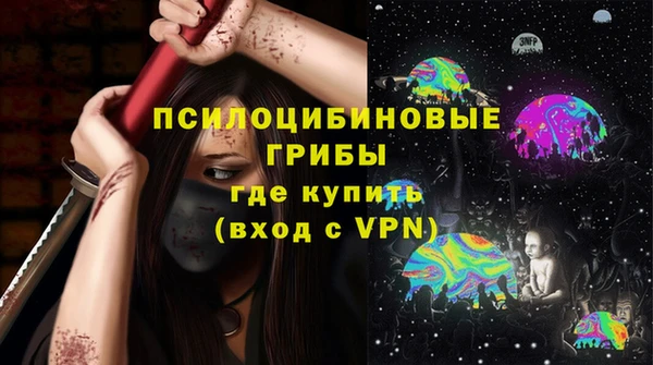 apvp Новодвинск