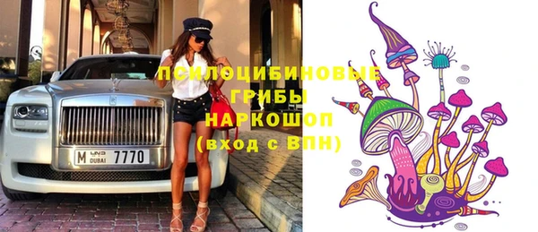 apvp Новодвинск