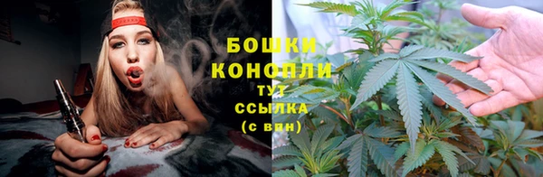 кокаин Новозыбков