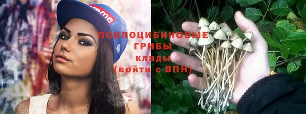 apvp Новодвинск